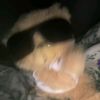 m_287338