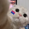 larissa_303101