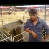 cesar.maldonado.s