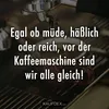 hammerhai_derangler
