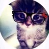 toti_730