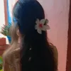 pretinha0818
