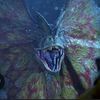 dilophosaurus_dinosuar
