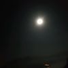 mari.luna207