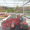 shahida2474
