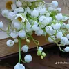 thuy160652