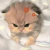 zoupjopz