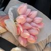 suha.emad99
