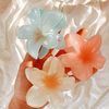 missmia_blossom