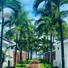 sapfullphong