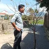trung.phm4382