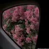 iu_jk6