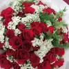 minh.thanh2203