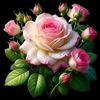 user6005058653015