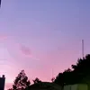 tuynphml3
