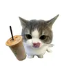 who_is.tal
