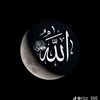 palestinaa__7