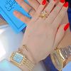 saif34chaima1
