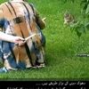 qaid_e_tanhai14