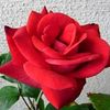 md.shakil.islam.s43