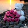 shirina3130
