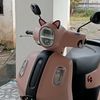 fazziopink