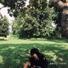markojunior06