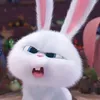 _trn.chu.trng_
