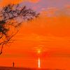 buton_pride81