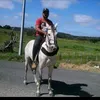 henrique.freitas1519