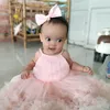 thanhnha26062024