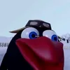 77_black6