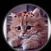 ikram.anjan
