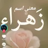 user88053946757917