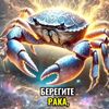 user7044081336816t