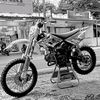 bacot_1987