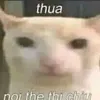 thkimphngl8
