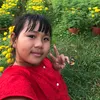 ngnhavy_1601