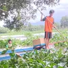 doanhauphuong