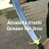muhichobaale3