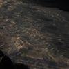 li00981
