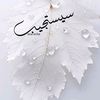 nour.alaswad1