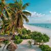 Zanzibar