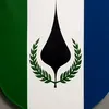 20rsla_