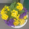 rasha82589