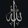 user.h.3
