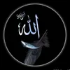 islamique435