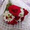 maddyfaran_542