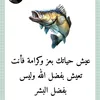 user9762414555522