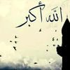 user9386788774227